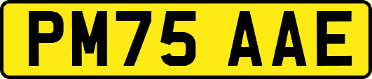 PM75AAE