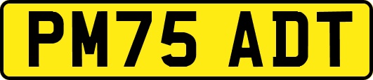 PM75ADT