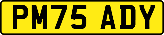PM75ADY