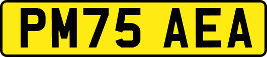PM75AEA