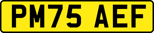 PM75AEF