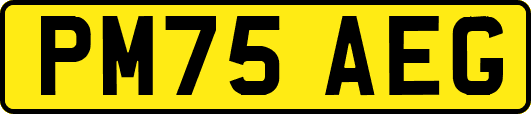 PM75AEG
