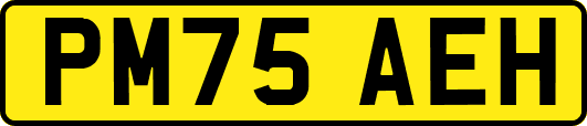 PM75AEH