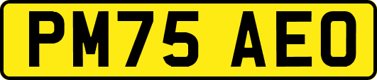 PM75AEO