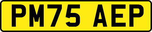 PM75AEP