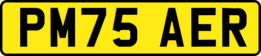 PM75AER