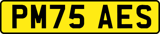 PM75AES