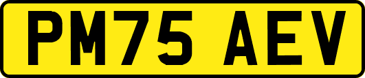 PM75AEV