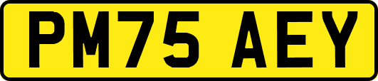 PM75AEY