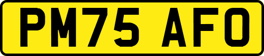 PM75AFO