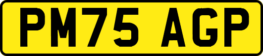 PM75AGP