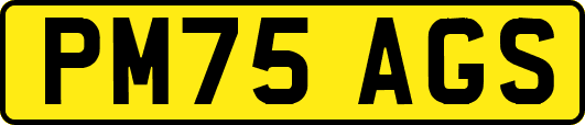 PM75AGS