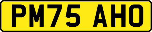 PM75AHO