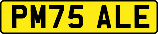 PM75ALE