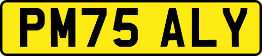 PM75ALY