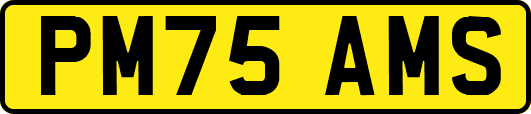 PM75AMS