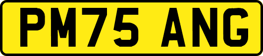 PM75ANG