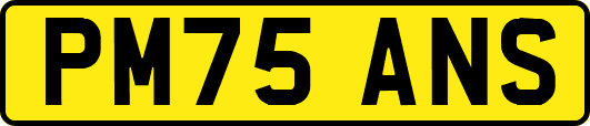 PM75ANS
