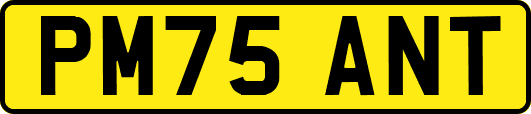 PM75ANT