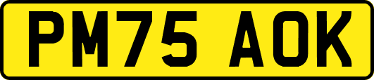 PM75AOK