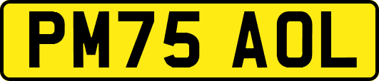 PM75AOL
