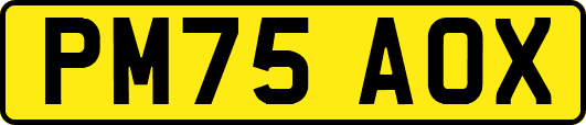 PM75AOX
