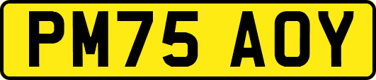PM75AOY