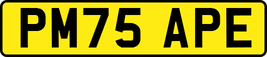 PM75APE