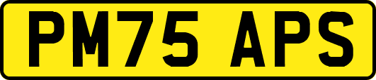 PM75APS