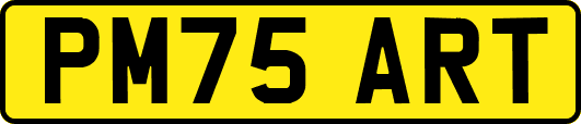 PM75ART
