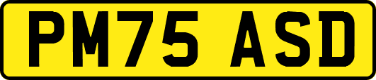 PM75ASD