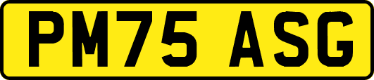 PM75ASG