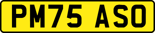 PM75ASO
