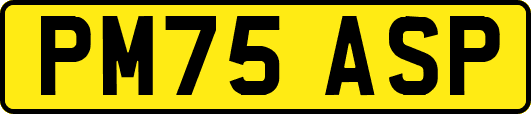 PM75ASP