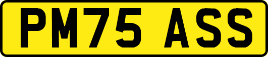 PM75ASS