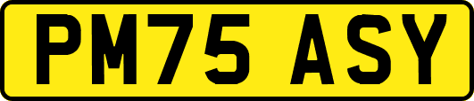 PM75ASY