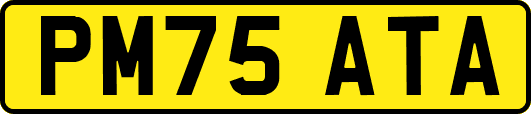 PM75ATA