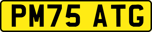 PM75ATG
