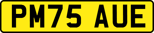 PM75AUE