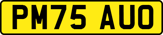 PM75AUO