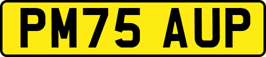 PM75AUP