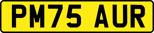 PM75AUR