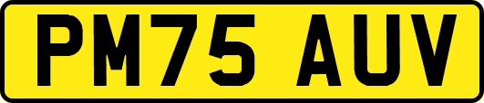 PM75AUV