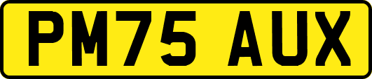 PM75AUX