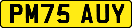 PM75AUY