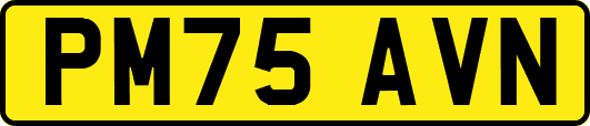PM75AVN