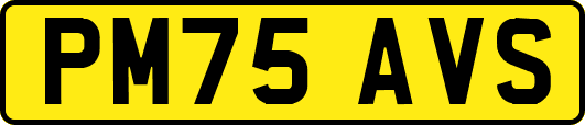 PM75AVS