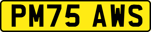 PM75AWS