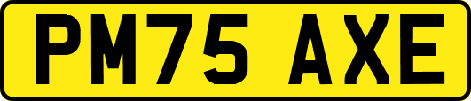 PM75AXE