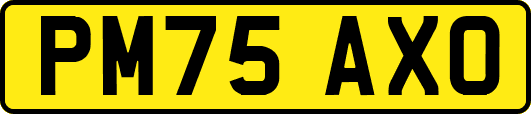 PM75AXO